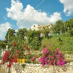 Rosa's לואורדטה
